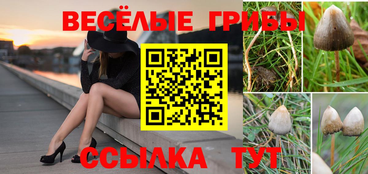 Галлюциногенные грибы мухоморы Орёл